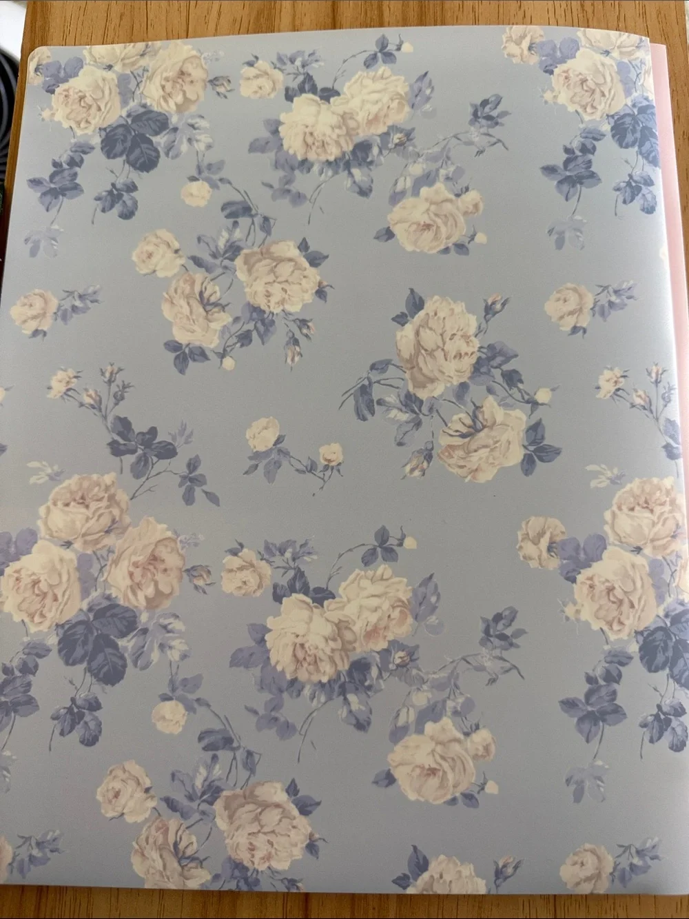 LoveShackFancy x Yoobi Blue and Cream Floral Folder